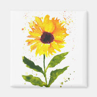 Akvarell gul solros akvarell blommor
