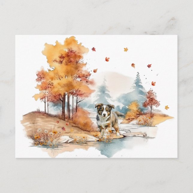 Akvarell Höst Hund Design- Australian Shepherd Vykort (Framsida)