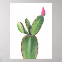 Akvarell Kaktus Rosa Blomma Affisch