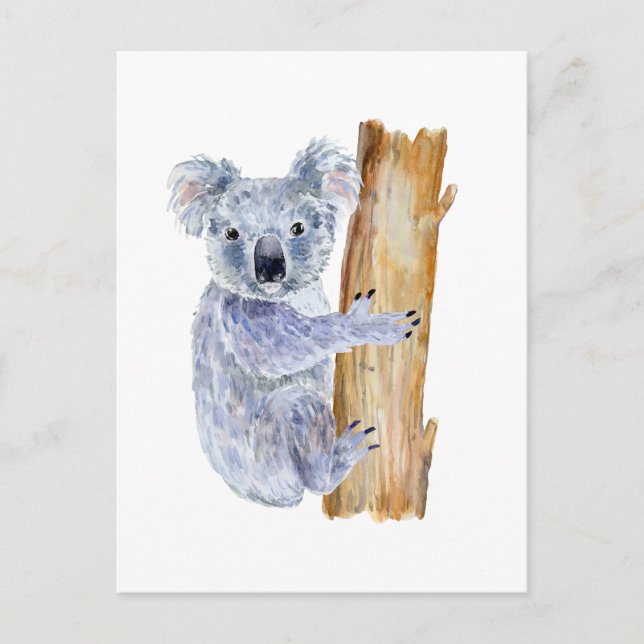 Akvarell koala illustration vykort (Framsida)