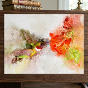 Akvarell Kolibri som äter av en livfull blomma Poster