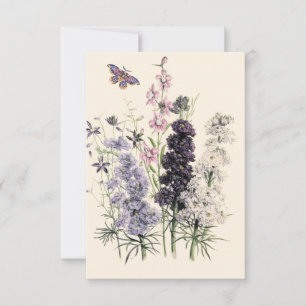 Akvarell Lila, Rosa Trädgårdsblommor, Fjäril  Kort