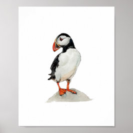 Akvarell Lunnefågel-målning Poster