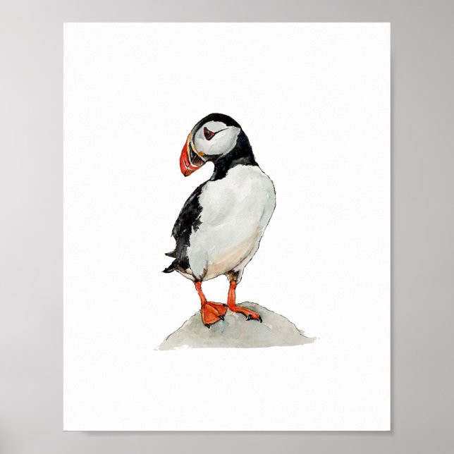 Akvarell Lunnefågel-målning Poster (Framsidan)