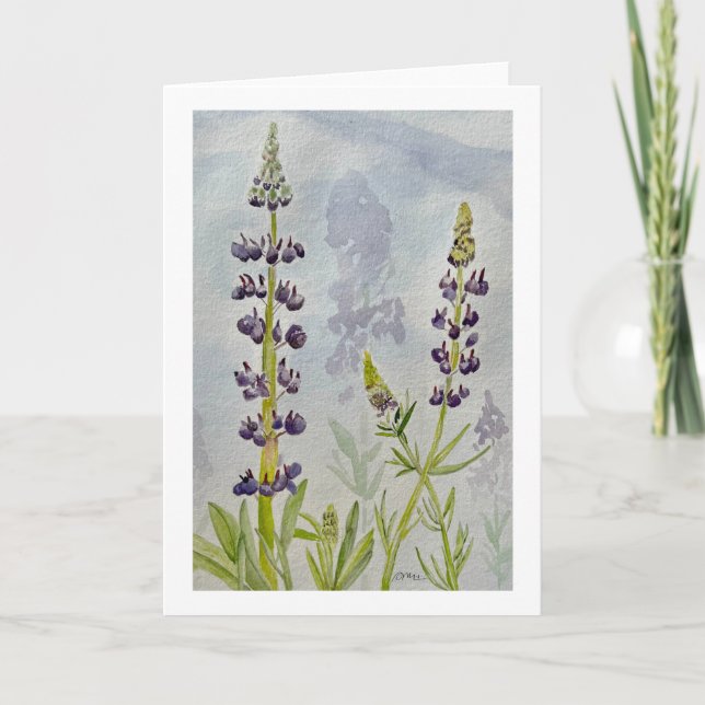 Akvarell Lupin Blank Kort (Framsida)
