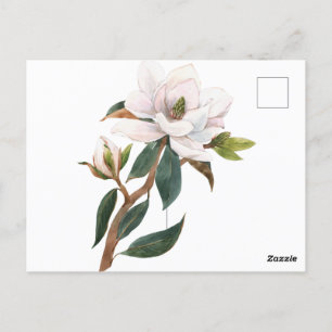 akvarell magnolia blomma vykort
