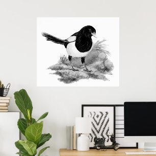 Akvarell Nyfiken Skatfågel Natur Konst Poster