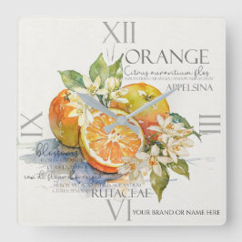 Akvarell Orange Citrusfrukt Med Blommor Fyrkantig Klocka