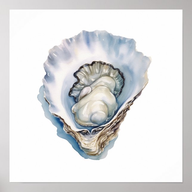 Akvarell Oyster Shell Poster (Framsidan)