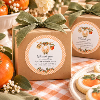 Akvarell Persimmon Baby Shower En Liten Sötis Runt Klistermärke