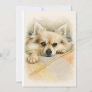 Akvarell Pomeranian Chihuahua Hund Porträtt Tack Kort