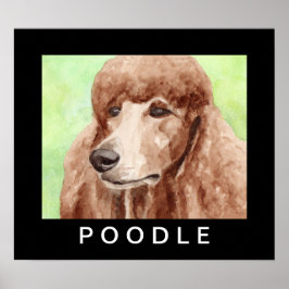 Akvarell Pudel Poster