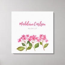 Akvarell Rosa Hydrangea Lacecaps Illustration