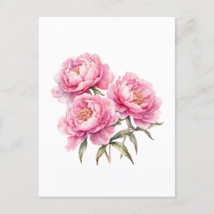 Akvarell Rosa Pion Blommor Vykort