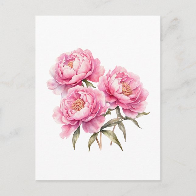 Akvarell Rosa Pion Blommor Vykort (Framsida)