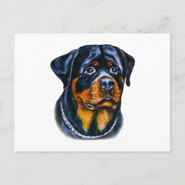 Akvarell Rottweiler Vykort (Framsida)