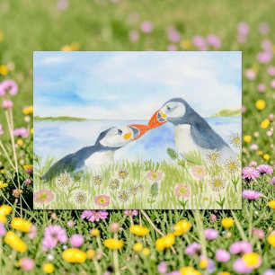 Akvarell Söta Lunnefåglar i en Äng med Blommor Helg Vykort