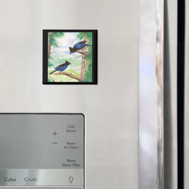 Akvarell Stellar Jay Fåglar Skogsträd  Magnet (In Situ (Fridge))