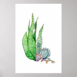Akvarell Sukkulent Botanisk Grönska Poster