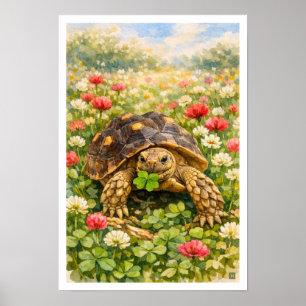Akvarell Sulcata Sköldpadda med lyckoklöver Poster