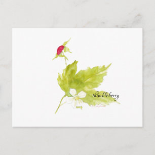 akvarell thimbleberry vykort