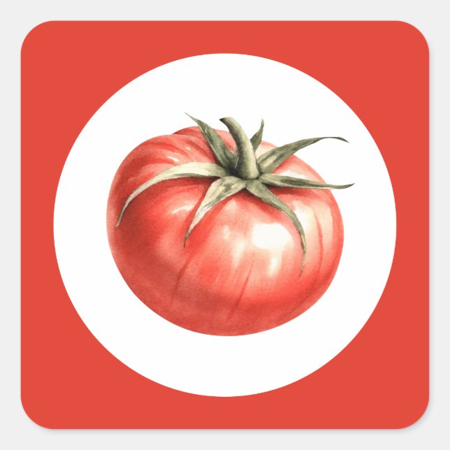 Akvarell tomatillustration fyrkantigt klistermärke (Framsida)