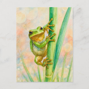Akvarell Vår Kalle Postkort Postcrossing Vykort