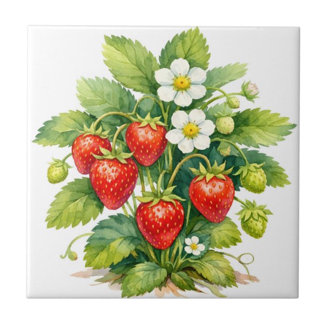 Akvarelljordgubbar och jordgubbsblomning  kakelplatta (Framsidan)