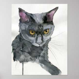 Akvarellkatt Poster
