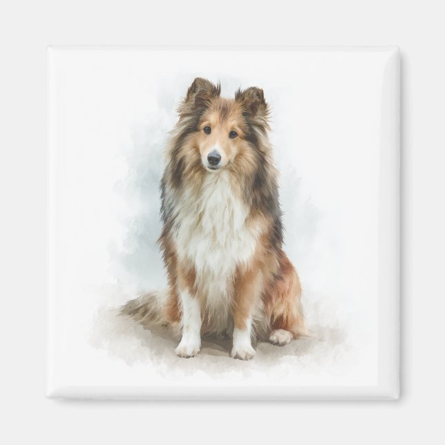 Akvarellkonst av sobel Shetlandshepphund Magnet (Framsidan)