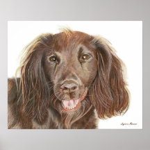 Akvarellmålning Arbets Cocker Spaniel Hund