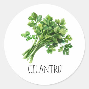 Akvarellört Cilantro Runt Klistermärke