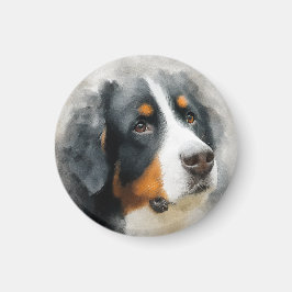 Akvarellporträtt Bernersennenhund Magnet