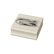 Akvarellserie: Koi-fiskar