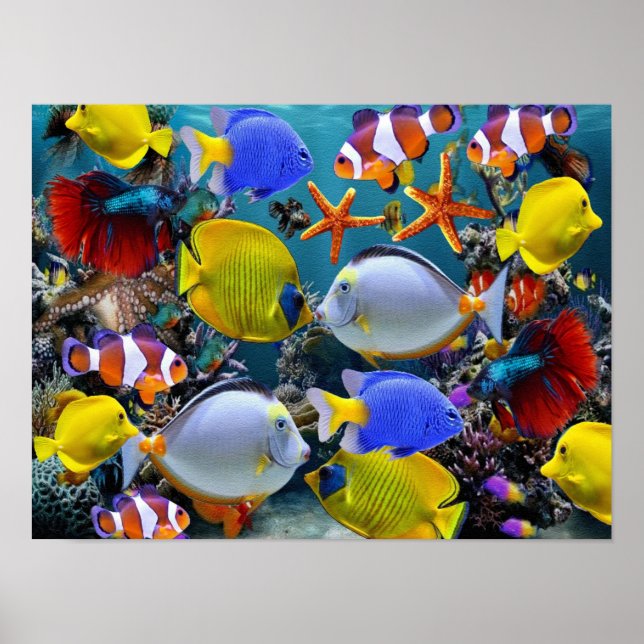 akvariefiskar tropiska fiske poster (Framsidan)