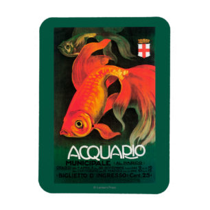 Akvariet & kommunalt parkerar den befordrings- magnet