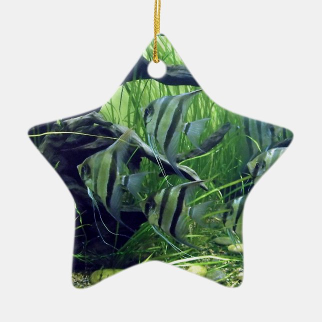 Akvarium görad randig fisk julgransprydnad keramik (Framsidan)