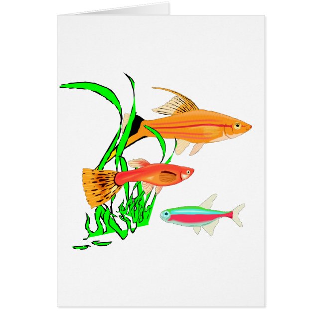 Akvarium Hälsningskort (Framsidan)