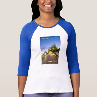 Akvarium i 'Noogen 3/4 sleeveRaglanT-tröja Tröja