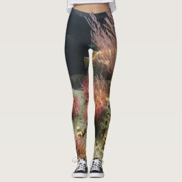 Akvarium Leggings