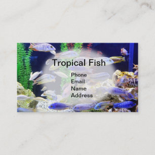 Akvarium med den härliga tropiska fisken visitkort