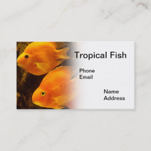 Akvarium med den härliga tropiska orange visitkort