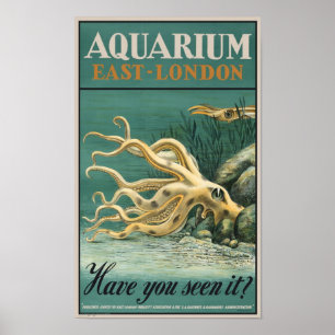 Akvarium östlig London bläckfisk Poster