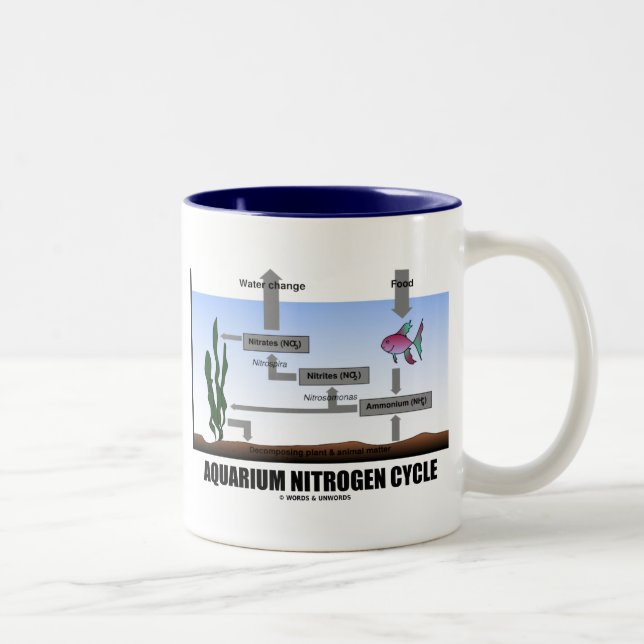 Akvariumett gasformigt grundämne cyklar (ekologi) Två-Tonad mugg (Höger)