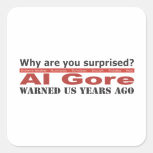 Al Gore varnade oss Fyrkantigt Klistermärke