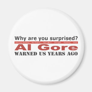 Al Gore varnade oss Magnet