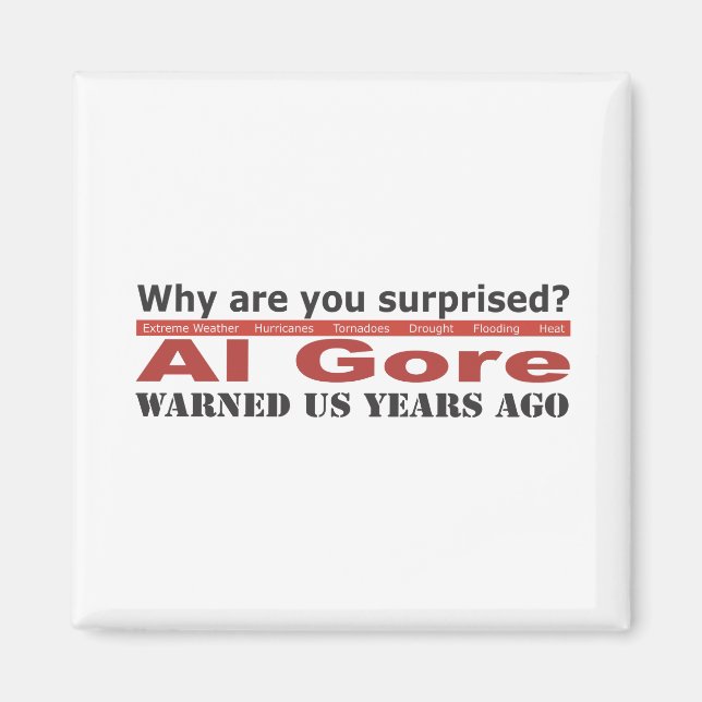Al Gore varnade oss Magnet (Framsidan)