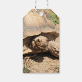 Ala aldabra presentetikett