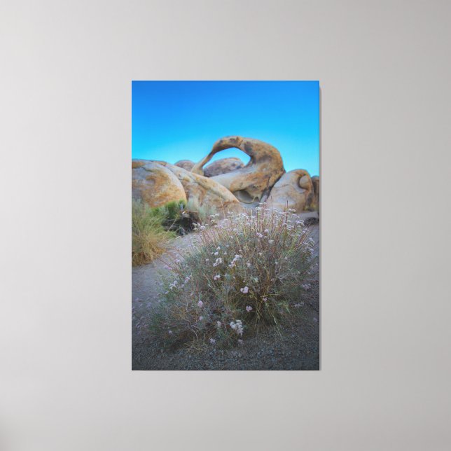 Alabama Backe Arch Canvastryck (Framsida)