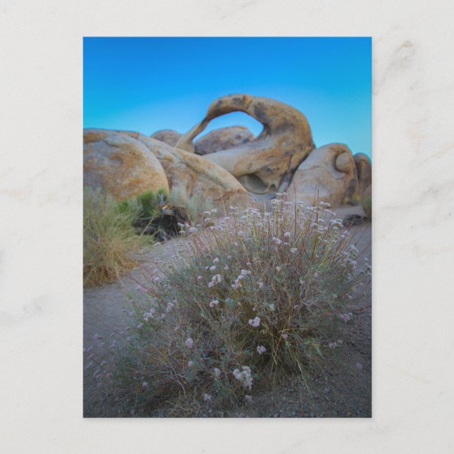 Alabama Backe Arch Vykort (Framsida)